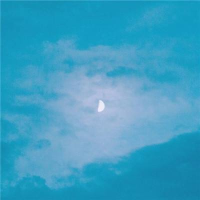 野地荒鸭手游