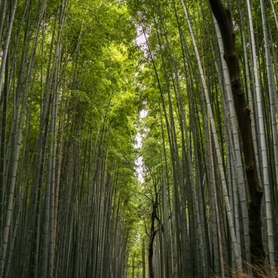 烽火龙城游戏下载